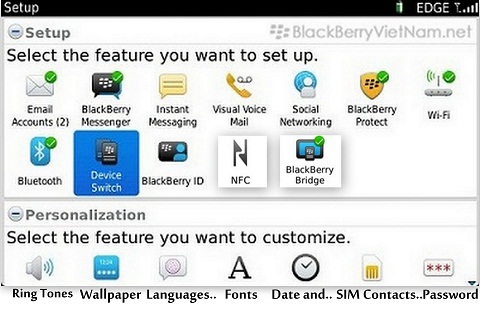 2-blackberry 7.jpg
