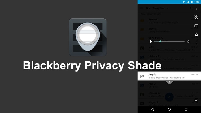 blackberry-privacy-shade.jpg