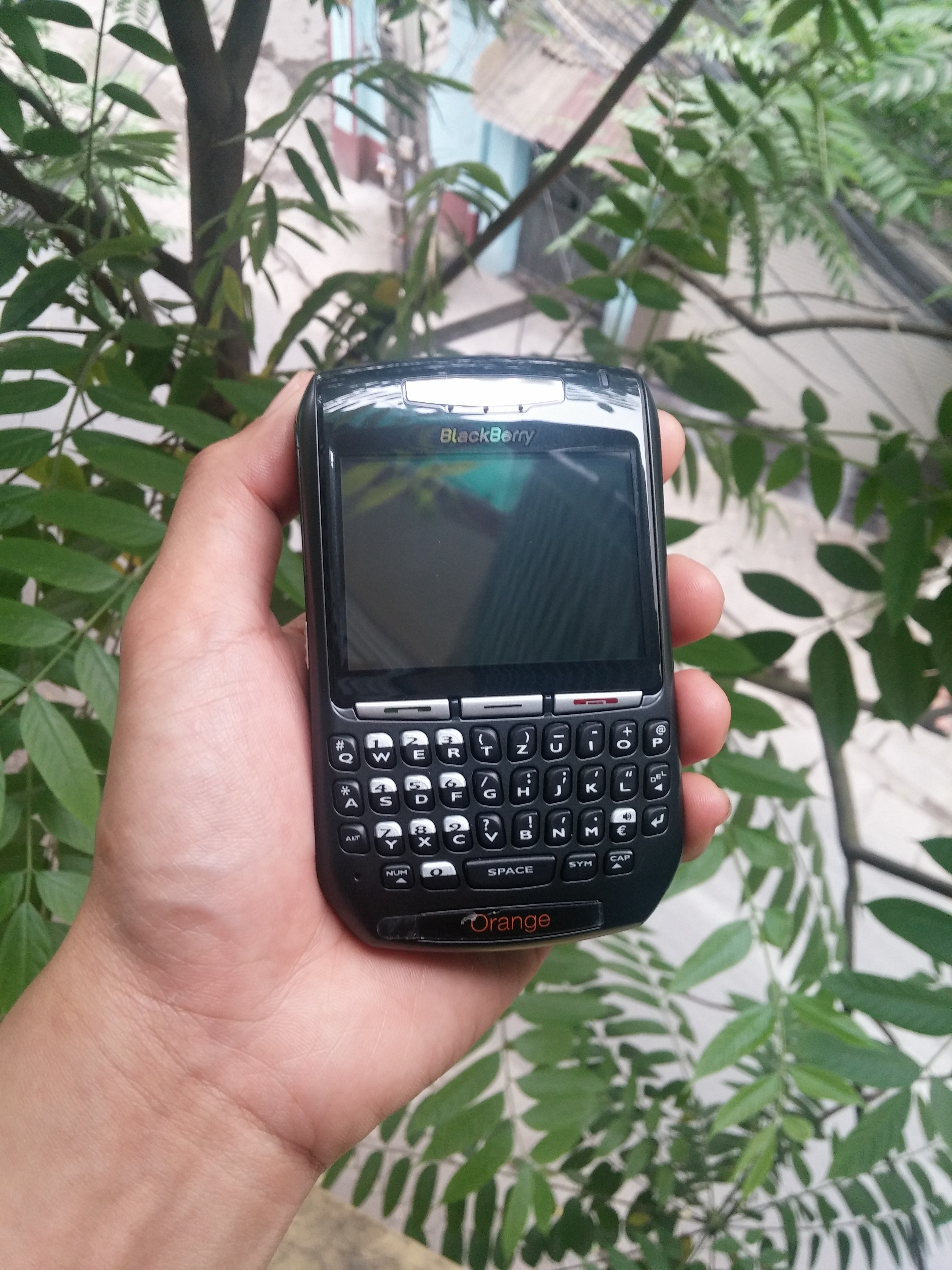 CAM00115.jpg