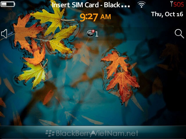 DDCapture141016092754.jpg