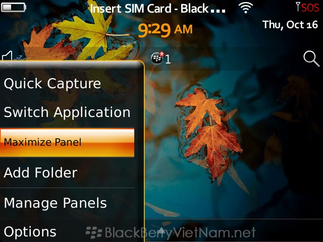 DDCapture141016092941.jpg
