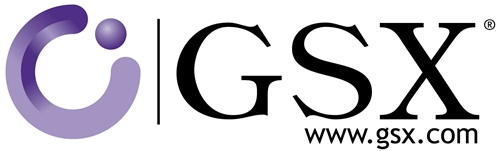 GSXLogo06032013194305.jpg