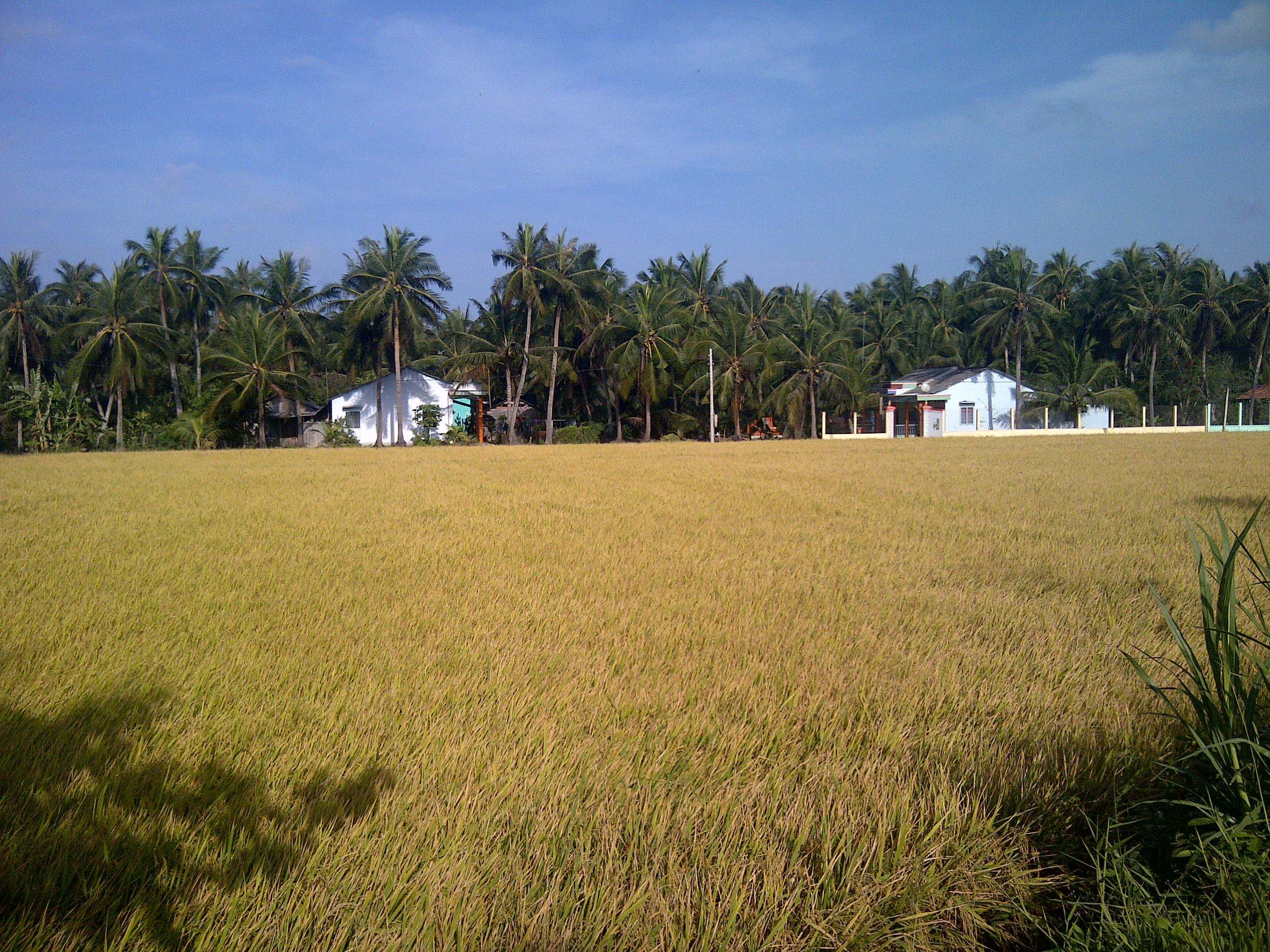 IMG-20150329-00485.jpg
