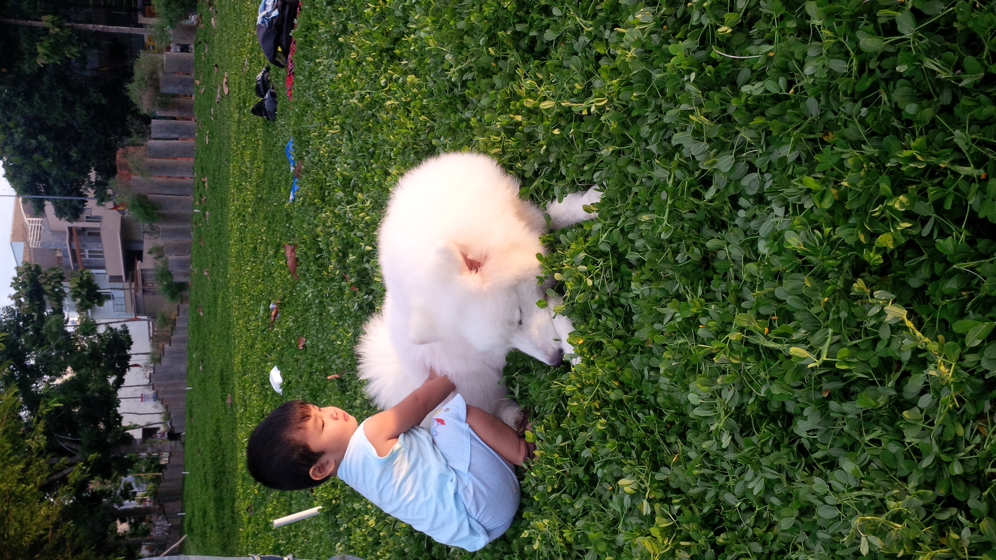 IMG_20150901_173331.jpg