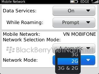 w-06 bbpin.jpg