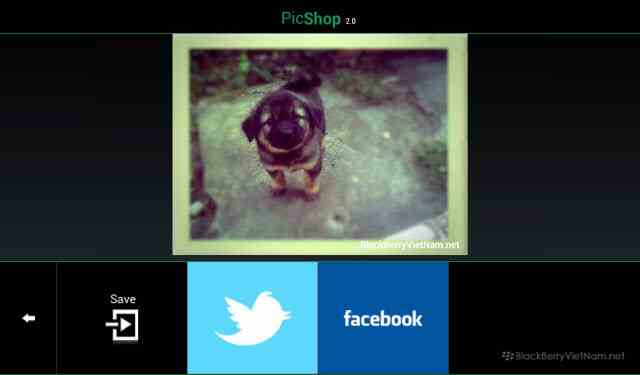 watermarked-IMG_000000536.jpg